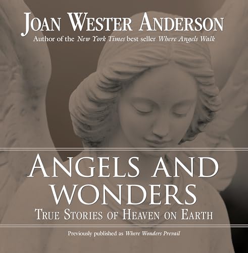 Imagen de archivo de Angels and Wonders: True Stories of Heaven on Earth a la venta por SecondSale