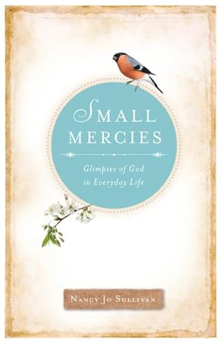 Stock image for Small Mercies: Glimpses of God in Everyday Life for sale by SecondSale