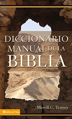 Stock image for Diccionario manual de la Biblia for sale by Russell Books
