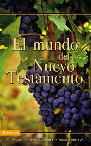 Stock image for Mundo del Nuevo Testamento, El for sale by Orion Tech