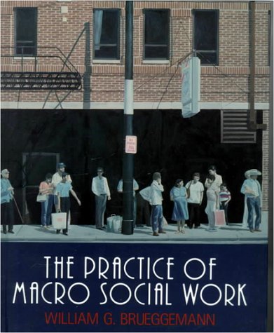 9780830413683: The Practice of Macro Social Work