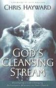 Imagen de archivo de God's Cleansing Stream : Developing a Life-Changing Deliverance Ministry in Your Church a la venta por Better World Books