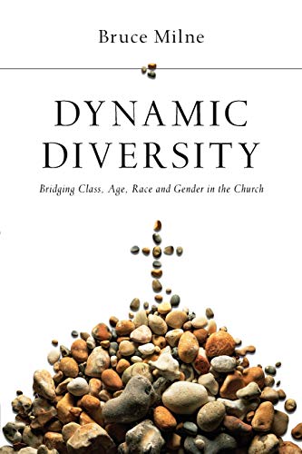 Imagen de archivo de Dynamic Diversity: Bridging Class, Age, Race and Gender in the Church a la venta por BooksRun