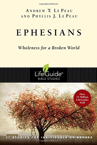 9780830830121: Ephesians: Wholeness For A Broken World