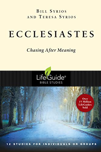 Stock image for Ecclesiastes: Chasing After Meaning (LifeGuide Bible Studies) for sale by Your Online Bookstore
