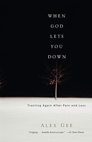 Imagen de archivo de When God Lets You Down : Trusting Again after Pain and Loss a la venta por Better World Books