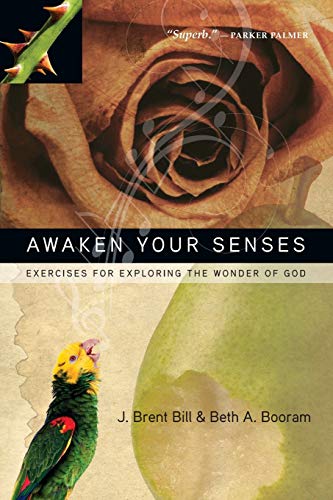 Beispielbild fr Awaken Your Senses: Exercises for Exploring the Wonder of God zum Verkauf von WeBuyBooks