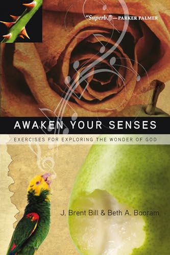 Stock image for Awaken Your Senses : Exercises for Exploring the Wonder of God for sale by Better World Books