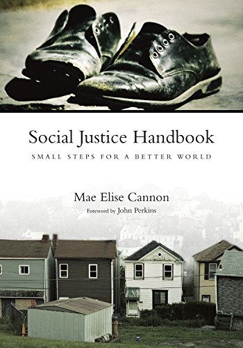 9780830837151: Social Justice Handbook: Small Steps for a Better World (BridgeLeader Books)