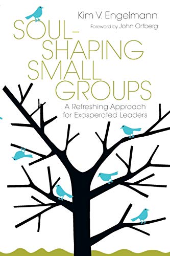 Beispielbild fr Soul-Shaping Small Groups: A Refreshing Approach for Exasperated Leaders zum Verkauf von WorldofBooks