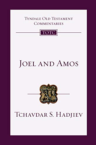 Imagen de archivo de Joel and Amos: An Introduction and Commentary (Tyndale Old Testament Commentaries) a la venta por Lakeside Books