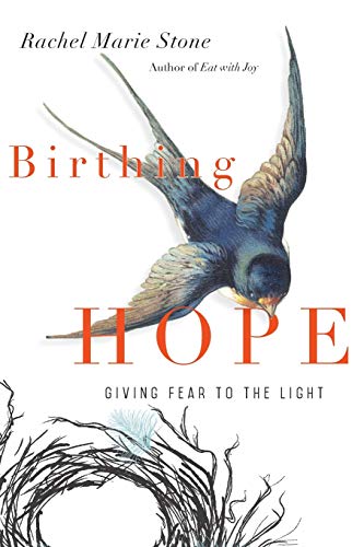 Beispielbild fr Birthing Hope : Giving Fear to the Light zum Verkauf von Better World Books