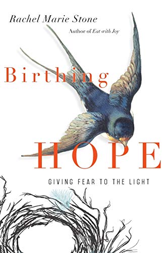 Stock image for Birthing Hope: Giving Fear to the Light for sale by SecondSale