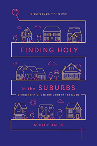 Stock image for Finding Holy in the Suburbs: Living Faithfully in the Land of Too Much for sale by Dream Books Co.