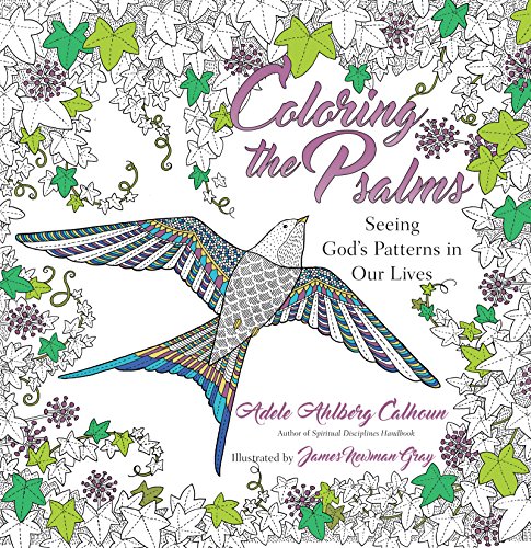 Beispielbild fr Coloring the Psalms : Seeing God's Patterns in Our Lives zum Verkauf von Better World Books