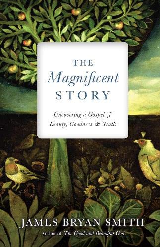 Stock image for The Magnificent Story: Uncovering a Gospel of Beauty, Goodness, and Truth (Apprentice Resources) for sale by SecondSale