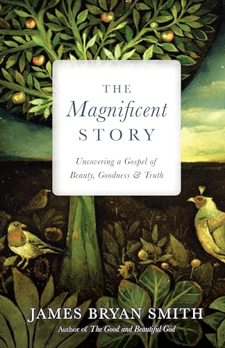 Stock image for The Magnificent Story: Uncovering a Gospel of Beauty, Goodness, and Truth (Apprentice Resources) for sale by ThriftBooks-Atlanta