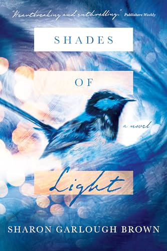 Imagen de archivo de Shades of Light: A Novel a la venta por Zoom Books Company