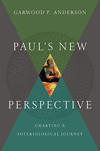 Imagen de archivo de Paul's New Perspective a la venta por Blackwell's