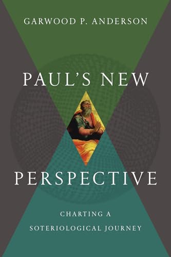 Stock image for Paul's New Perspective for sale by Blackwell's