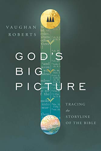 Imagen de archivo de God's Big Picture: Tracing the Storyline of the Bible a la venta por Off The Shelf