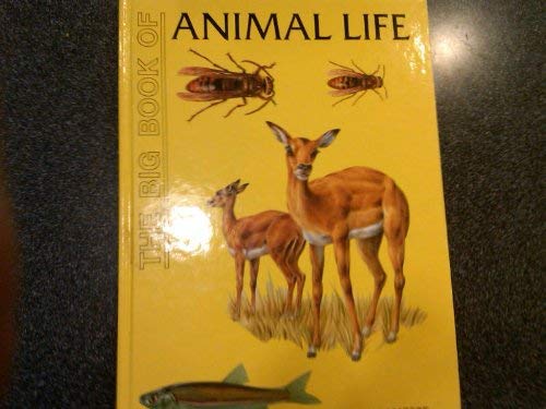 Beispielbild fr The Big Book of Animal Life zum Verkauf von medimops