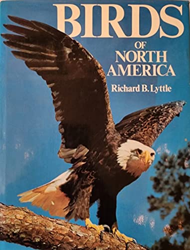 Imagen de archivo de The Birds of North America a la venta por Wonder Book