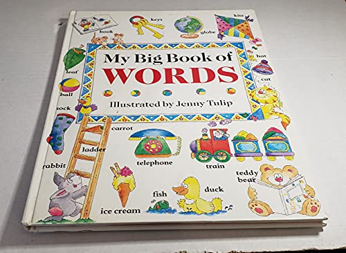 9780831708863: My Big Book of Words (The My Big Book Series)