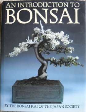 Stock image for An Introduction to Bonsai for sale by Wonder Book