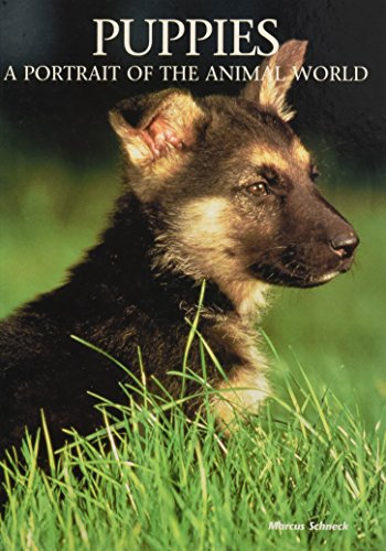 Imagen de archivo de Puppies : A Portrait of the Animal World a la venta por Better World Books: West