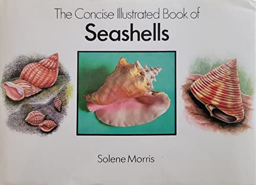 Stock image for Concise Illustrated Book of Seashells for sale by Wonder Book