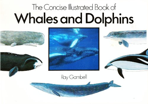 Stock image for Concise Illustrated Book of Whales & Dolphins for sale by HPB Inc.