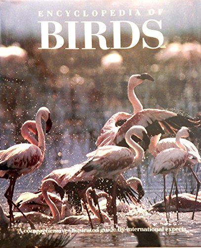 Stock image for Encyclopedia of Birds for sale by Better World Books