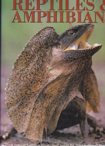 Stock image for Reptiles and Amphibians for sale by Better World Books