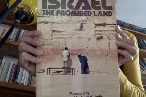 Beispielbild fr Israel: The Promised Land zum Verkauf von Top Notch Books