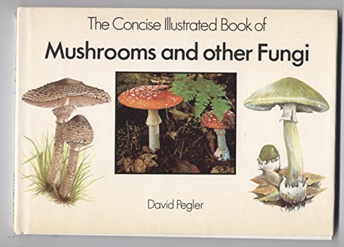 Stock image for Concise Illustrated Book of Mushrooms for sale by Better World Books: West