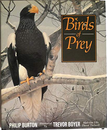 Beispielbild fr Birds of Prey zum Verkauf von ThriftBooks-Dallas