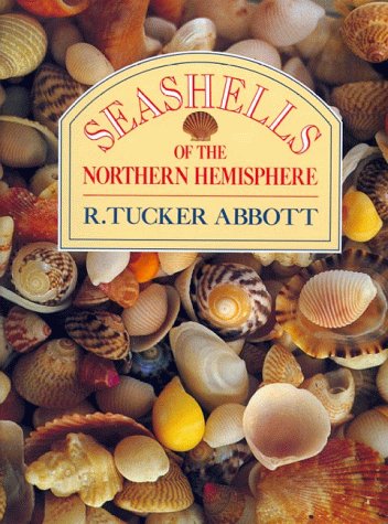 Seashells of the Northern Hemisphere