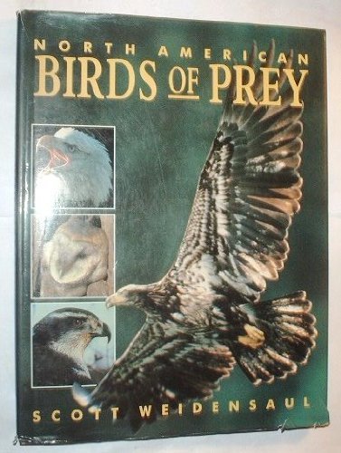 9780831764258: North American Birds of Prey