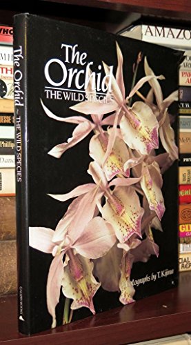Beispielbild fr The Orchid. The wild species. Photographs by T. Kijima. zum Verkauf von Antiquariat am St. Vith