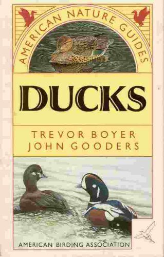 Stock image for American Nature Guides Ducks of North America for sale by Wonder Book