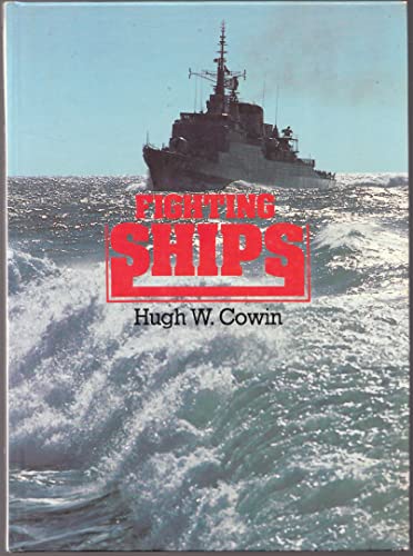 Imagen de archivo de Fighting Ships a la venta por Half Price Books Inc.