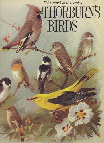 Imagen de archivo de Complete Illustrated Thorburn's Birds a la venta por SecondSale