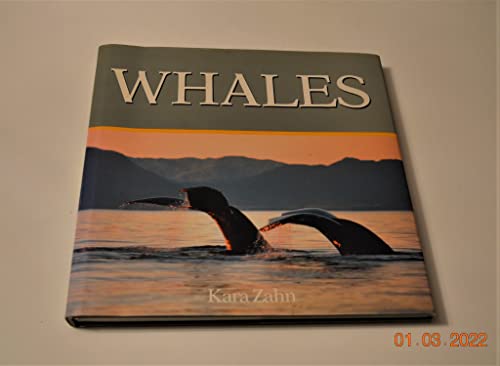 Stock image for Whales for sale by HPB Inc.