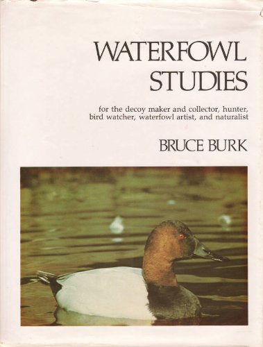 Beispielbild fr Waterfowl Studies zum Verkauf von ThriftBooks-Dallas