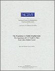 Imagen de archivo de The Transition to Stable Employment Format: Paperback a la venta por INDOO