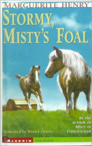 Stock image for Stormy, Misty's Foal for sale by ThriftBooks-Dallas