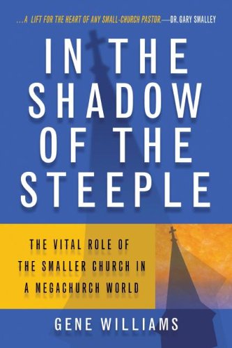 9780834121805: In The Shadow Of The Steeple: The Vital Role Of The Smaller Church In A Mega-Church World