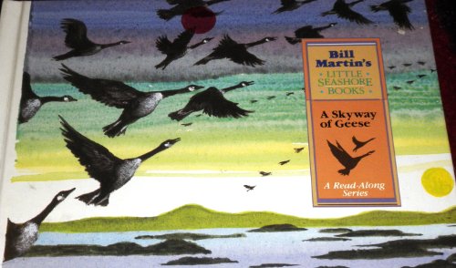 Stock image for A Little Seashore Book: a Skyway of Geese for sale by Michael Patrick McCarty, Bookseller