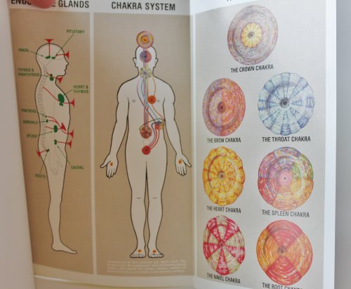 9780835606417: The Chakras and the Human Energy Fields (Quest Book)